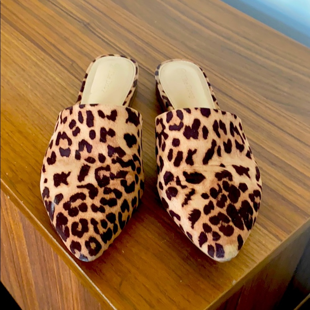 Leopard Mules